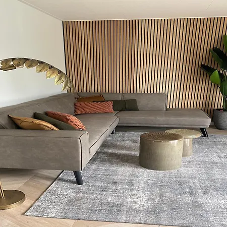 Eco Forest Near Baarle-nassau * Ulicoten