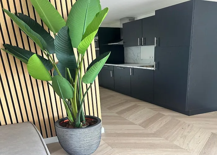 Eco Forest Near Baarle-nassau Ulicoten