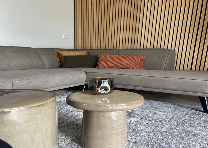 Eco Forest Near Baarle-nassau *