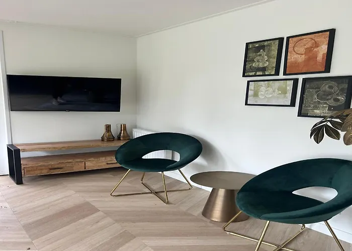 Eco Forest Near Baarle-nassau *