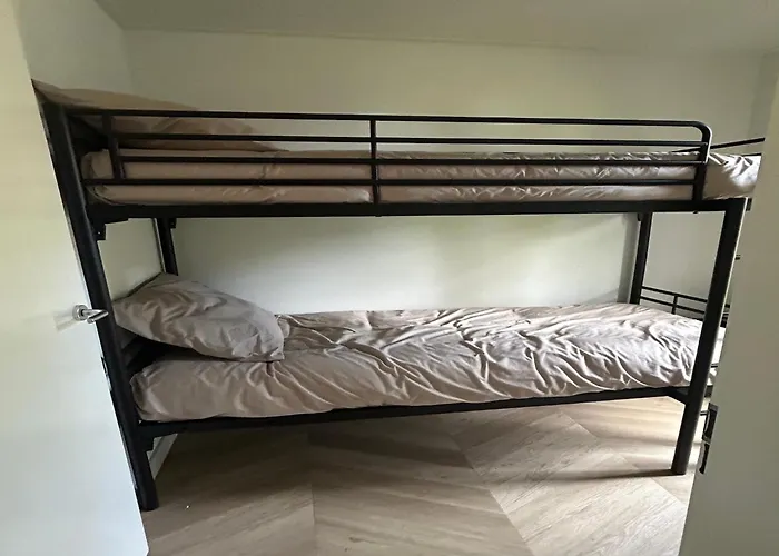 Eco Forest Near Baarle-nassau *