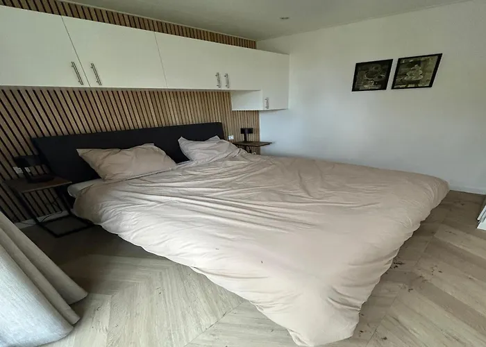 Eco Forest Near Baarle-nassau