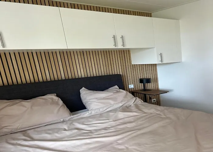 Eco Forest Near Baarle-nassau *