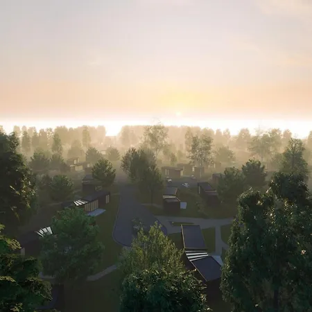 Eco Forest Near Baarle-nassau