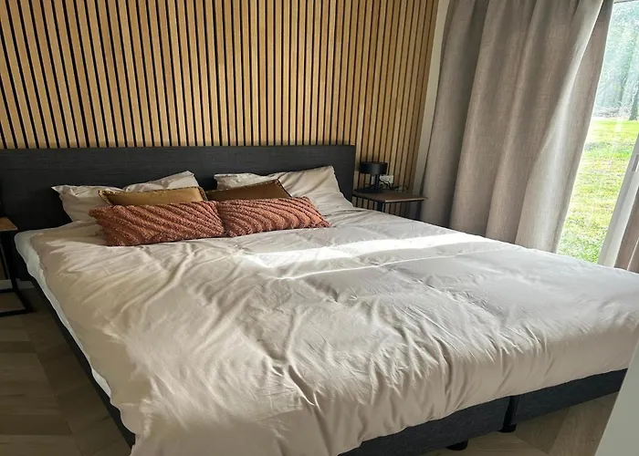 Eco Forest Near Baarle-nassau * Ulicoten