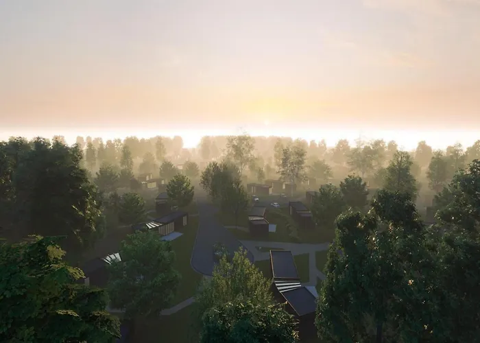 Eco Forest Near Baarle-nassau